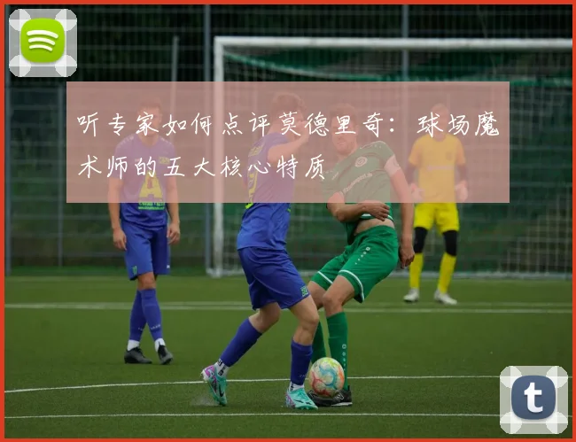 听专家如何点评莫德里奇:球场魔术师的五大核心特质
