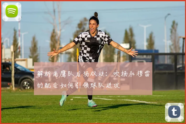 解析老鹰队后场双核：吹杨和穆雷的配合如何引领球队进攻