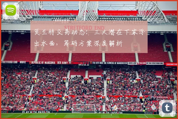 莫兰特交易动态:三大潜在下家浮出水面,筹码方案深度解析