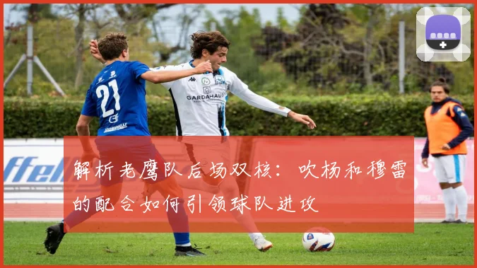 解析老鹰队后场双核:吹杨和穆雷的配合如何引领球队进攻
